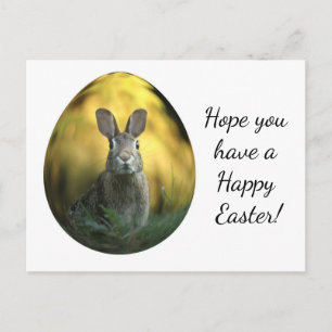 Easter Egg With Bunny Postcard