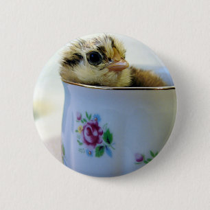 Easter Egger Chick in Cup 2 Inch Round Button