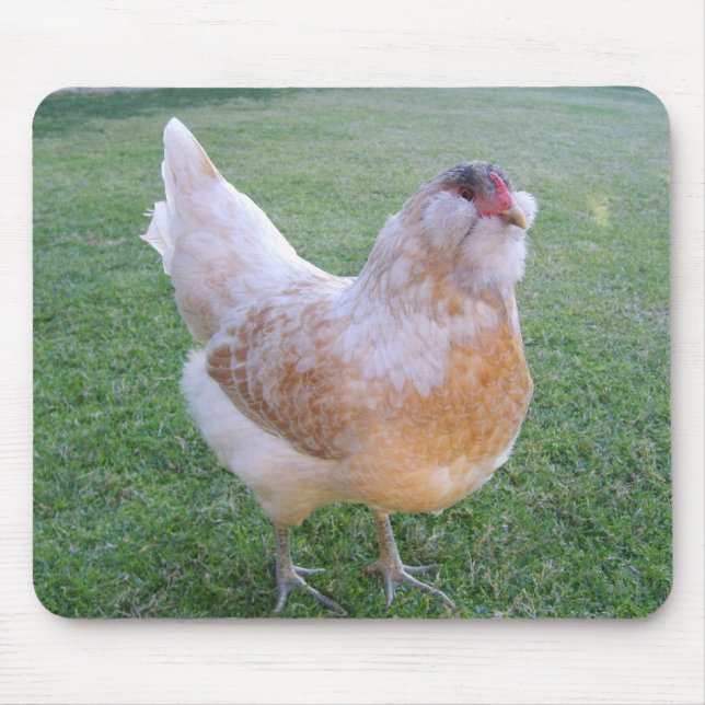 Easter Egger Chicken Mousepad (Front)