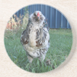 Easter Egger Rooster Coaster