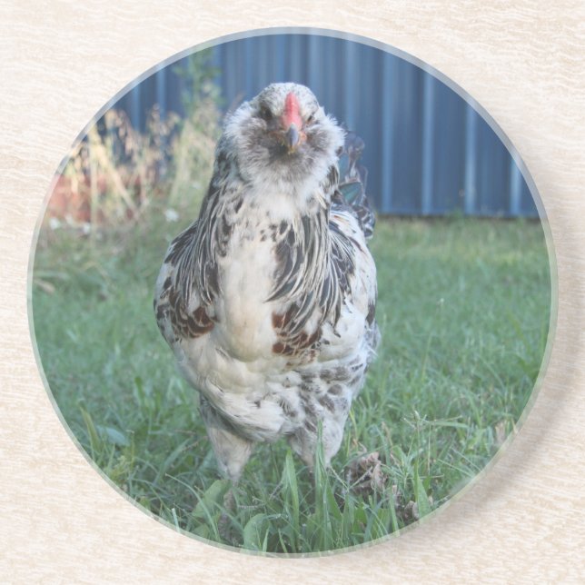Easter Egger Rooster Coaster (Front)