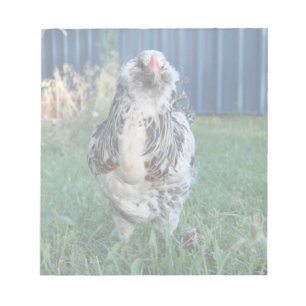 Easter Egger Rooster Notepad