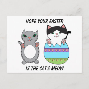Easter Eggs Cats Cute Colourful Personalize Holiday Postcard