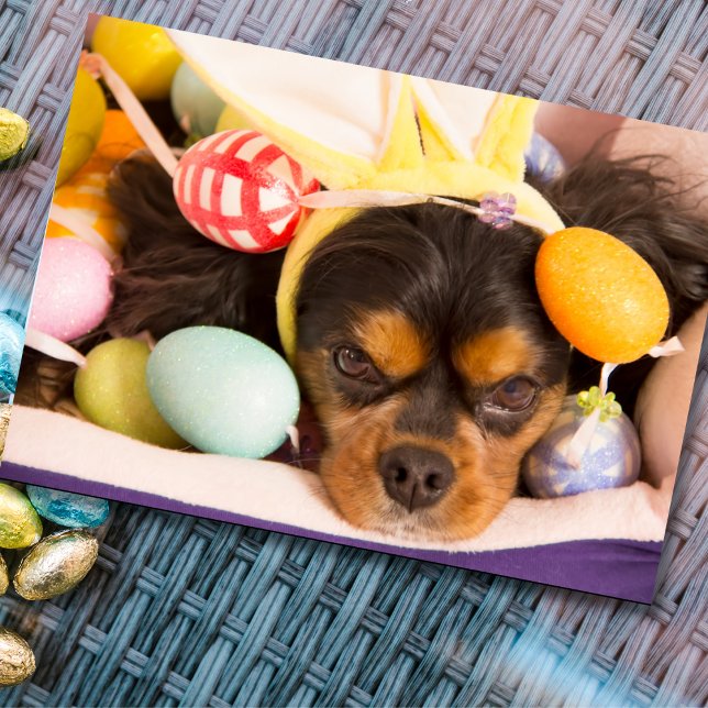 Easter Eggs Cavalier King Charles Spaniel Card (Creator Uploaded)