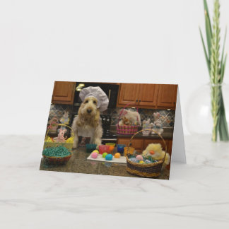 Easter Eggs, Happy Easter Holiday Card