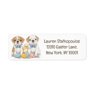 Easter English Bulldogs