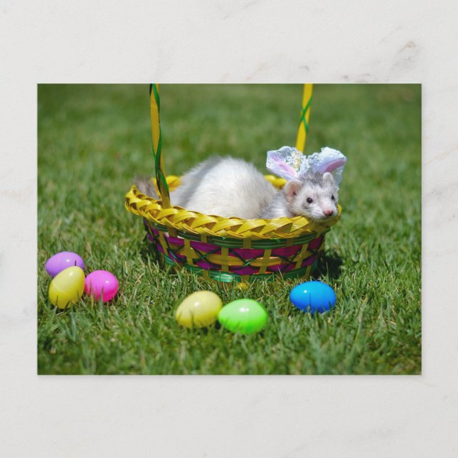 Easter Ferret Postcard (Front)