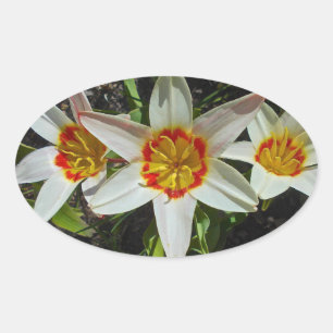 Easter Flowers Oval Sticker