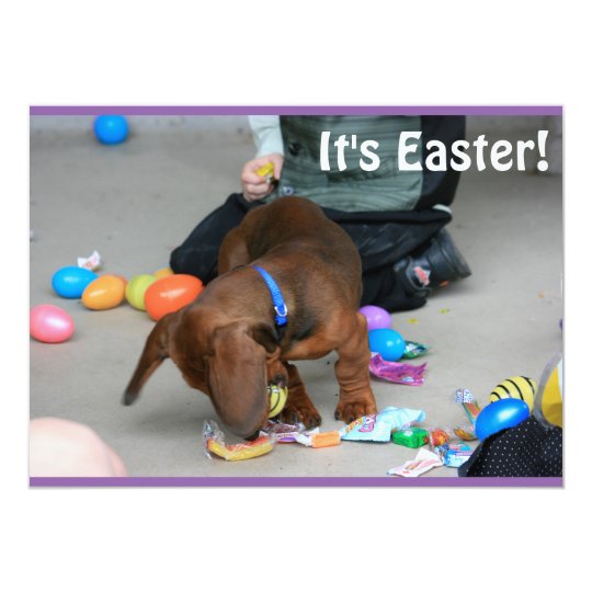 Easter Fun Card