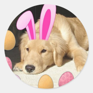 Easter Golden Retriever Classic Round Sticker