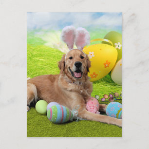 Easter - Golden Retriever - Frank Holiday Postcard