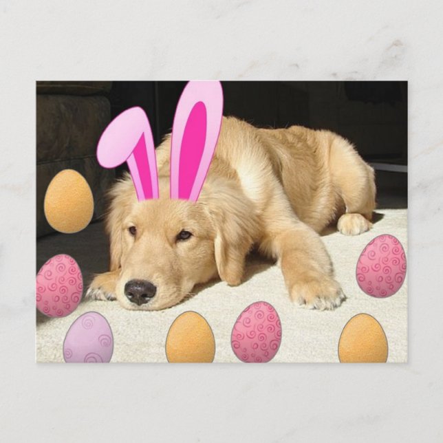 Easter Golden Retriever Puppy Holiday Postcard (Front)