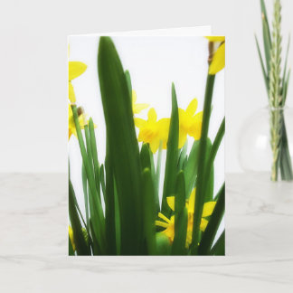 Easter Greetings Holiday Card