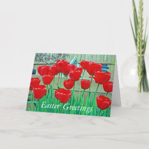 Easter, Greetings Holiday Card