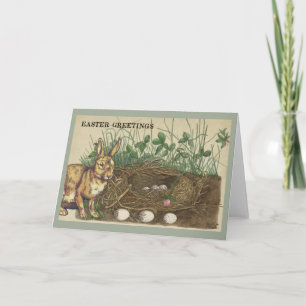 Easter Greetings rabbit, eggs, nest, grass, clover Holiday Card