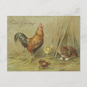 Easter Greetings Vintage Chicks Cat Custom Text Holiday Postcard