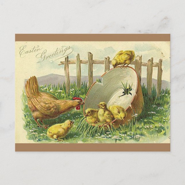 Easter Greetings Vintage Postcard Chicks (Front)