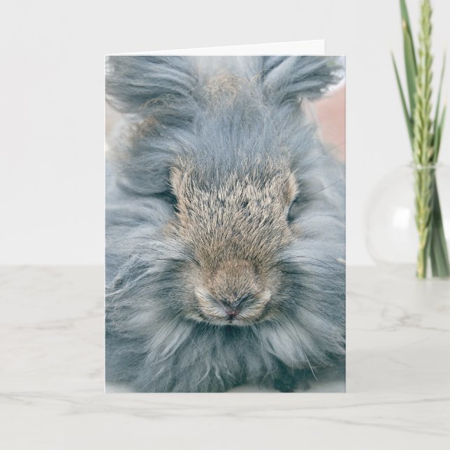 Easter Grey Bunny Holiday Card (Front)