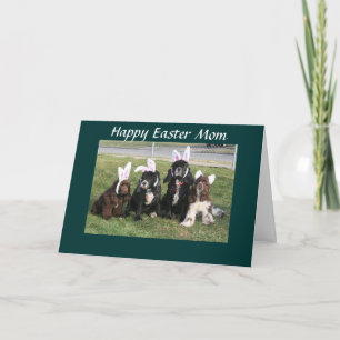 EASTER HUMOR FROM KIDS TO MOM HOLIDAY CARD