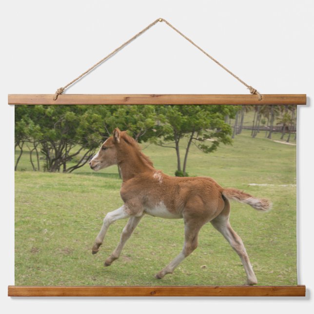 Easter Island aka Rapa Nui Hanging Tapestry (Front)