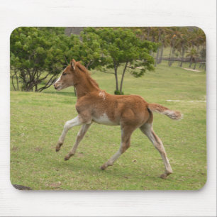 Easter Island aka Rapa Nui Mouse Pad