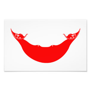 Easter Island Flag Photo Print