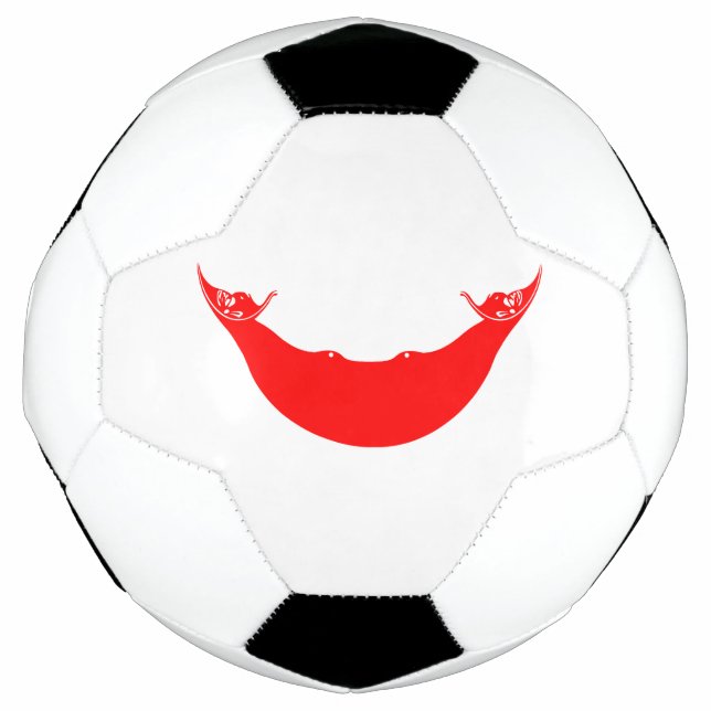 Easter Island Flag Soccer Ball (Front)