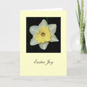 'Easter Joy' Daffodil Greeting Card