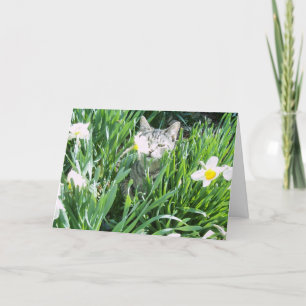 EASTER KITTEN HOLIDAY CARD
