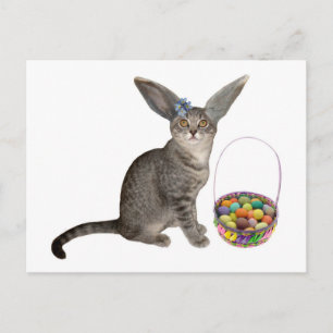 Easter Kitten Postcards