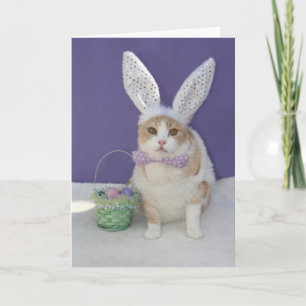 Easter Kitty Holiday Card