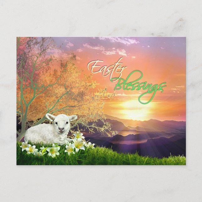 Easter Lamb and Sunrise with Easter Lilies Holiday Postcard (Front)