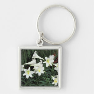 Easter Lily (Lilium regale) Keychain