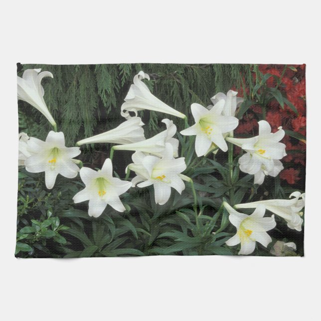 Easter Lily (Lilium regale) Kitchen Towel (Horizontal)
