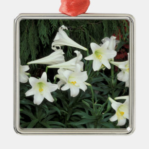Easter Lily (Lilium regale) Metal Ornament