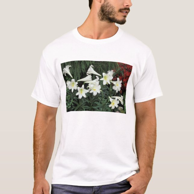 Easter Lily (Lilium regale) T-Shirt (Front)