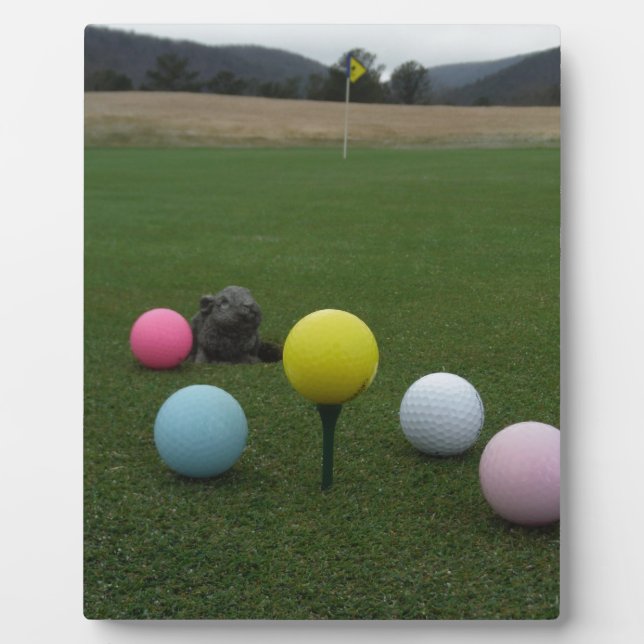 Easter mountain golf course plaque (Front)