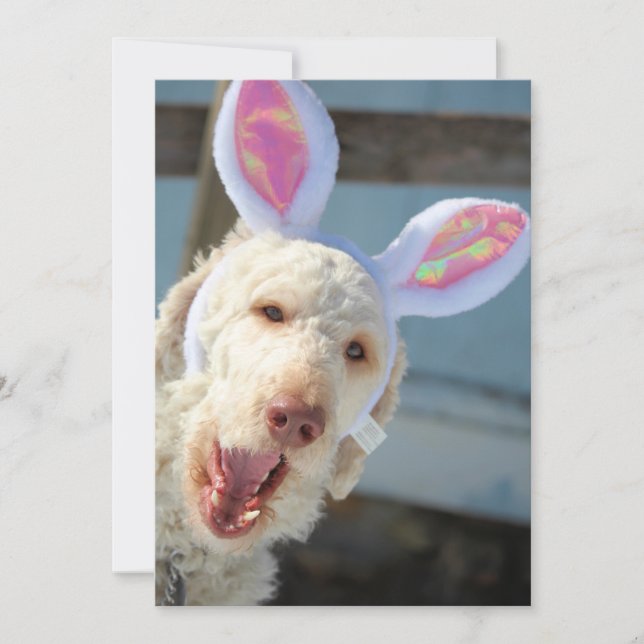 Easter Ollie Holiday Card (Front)
