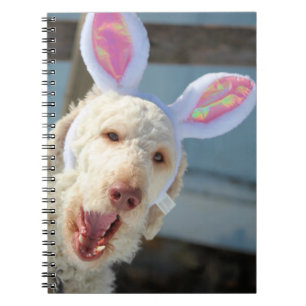 Easter Ollie Notebook