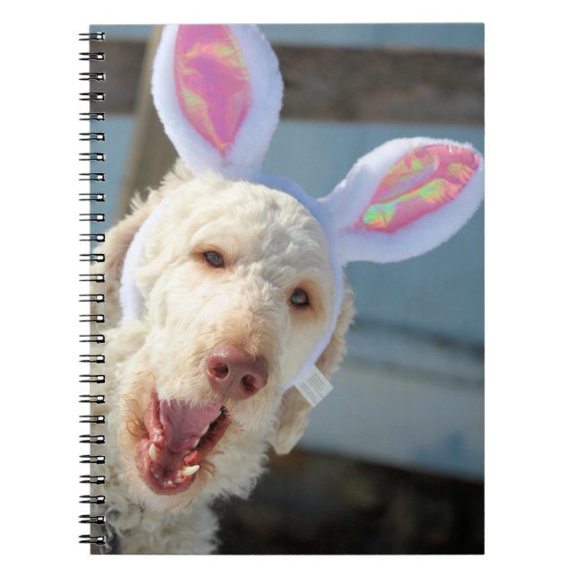 Easter Ollie Notebook (Front)