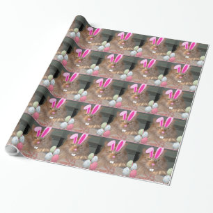 Easter Orange Tabby Kitty Cat Wrapping Paper