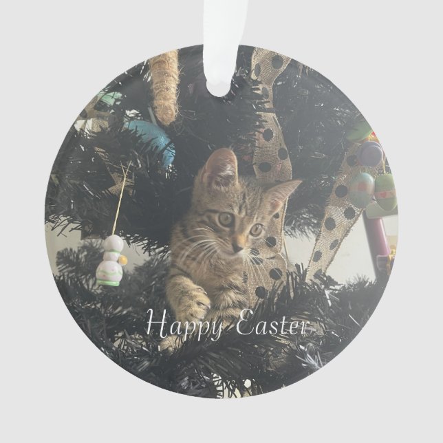 Easter Pet Photo Script Name  Ornament (Front)