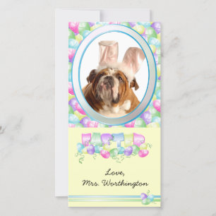 Easter Photo Cards for your pets!