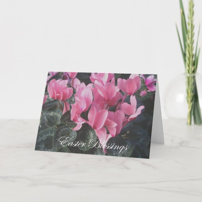 Easter Pink Cyclamen Card (Front)