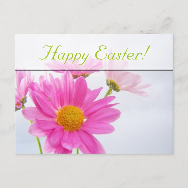 Easter Pink Daisy Postcard (Front)