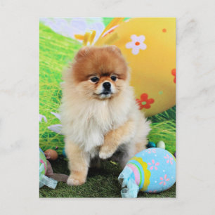 Easter - Pomeranian - Dexter Holiday Postcard