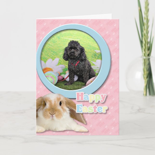 Easter - Poodle - Junior Holiday Card (Front)