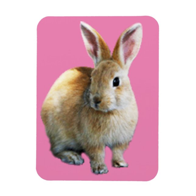 Easter Rabbit Magnet (Vertical)