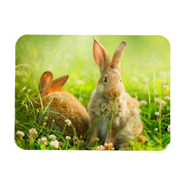 Easter Rabbits Magnet (Horizontal)