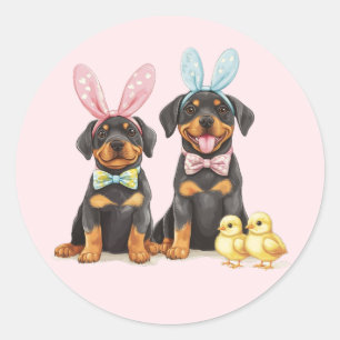 Easter Rottweiler Dogs Bunny Ears Classic Round Sticker